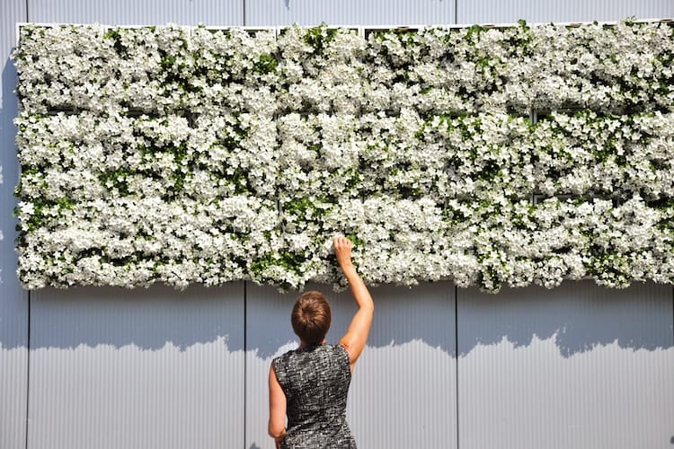  Les potagers urbains : de Paris à Dubai !