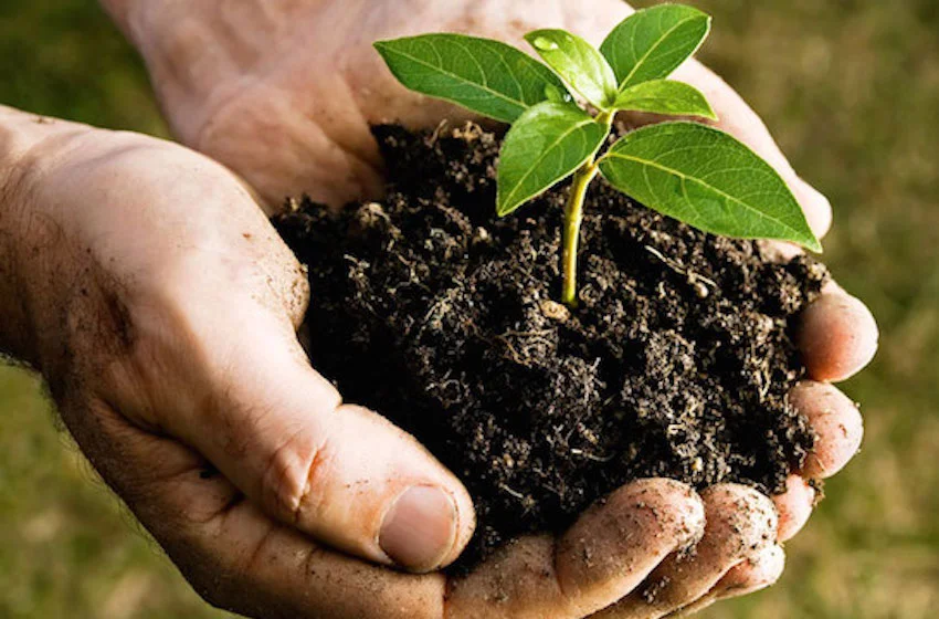 Créer son compost: informations et marche à suivre en 4 étapes