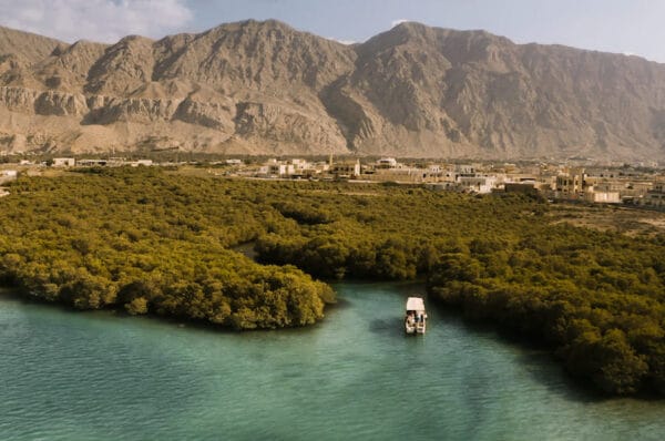 Suwaidi Pearls Farm à Ras Al Khaimah : on a testé pour vous la visite de la ferme perlière !