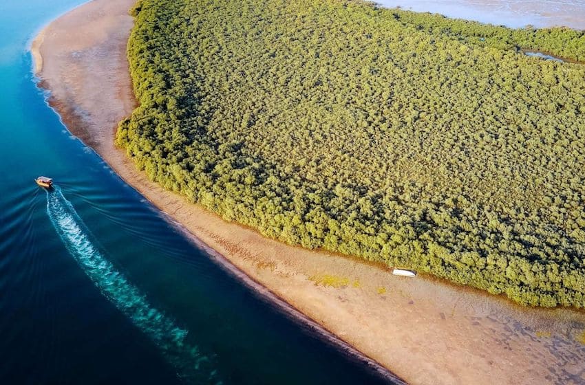 Mangrove Ras Al Khaimah